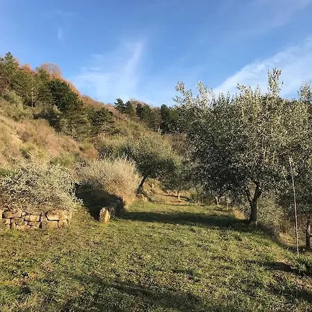 Appartamento Casa D'oro